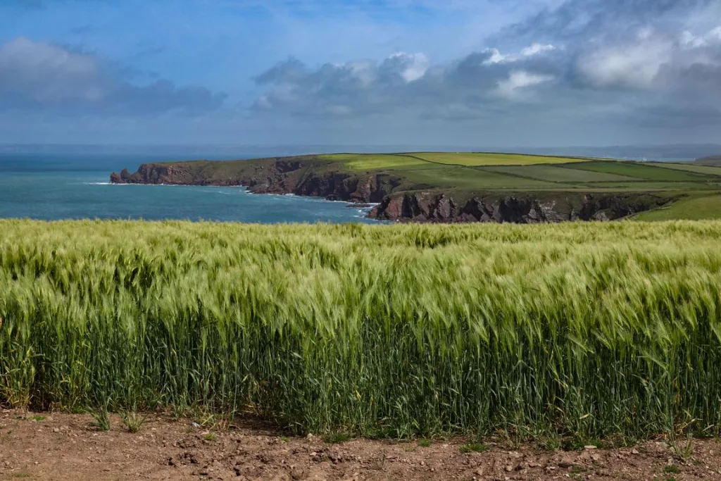 Wanderung entlang des Pembrokeshire Coast Path