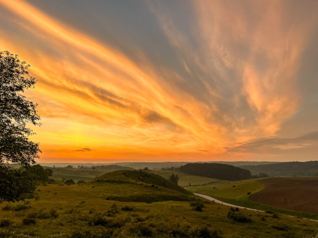 The Hills of Brosarp