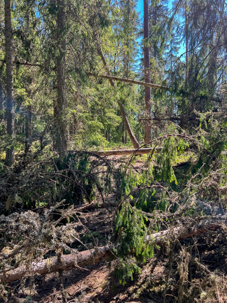 skurugata-schlucht-wanderung